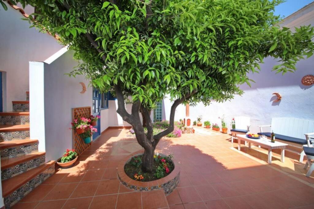Holiday home Philoxenia